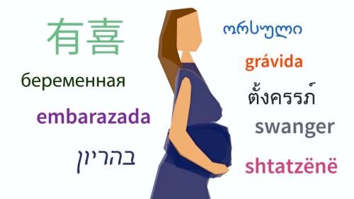 Pregnant clockwise in Chinese, Georgian, Portuguese, Thai, Afrikaans, Albanian, Hebrew, Spanish, Russian. (Credit: Fran Dias)